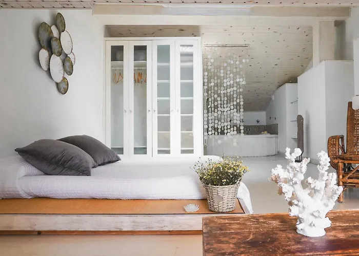 Kır Evi Planazo House *